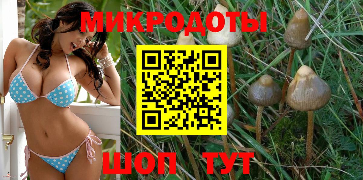 Галлюциногенные грибы прущие грибы Артёмовский