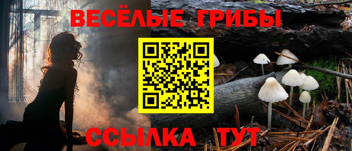 Артёмовский  Галлюциногенные грибы Psilocybe  Вход с VPN  Псилоцибиновые грибы ЛСД 